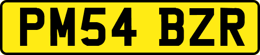 PM54BZR