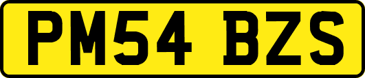 PM54BZS