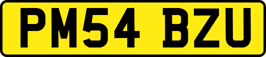 PM54BZU