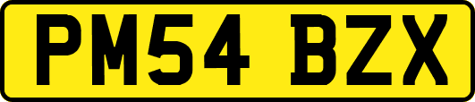 PM54BZX