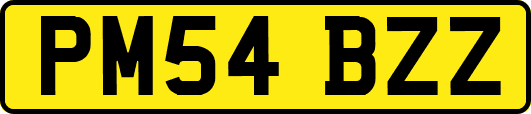 PM54BZZ