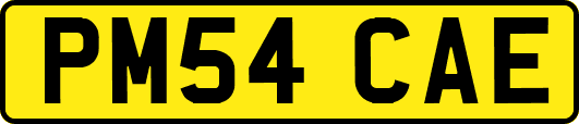 PM54CAE