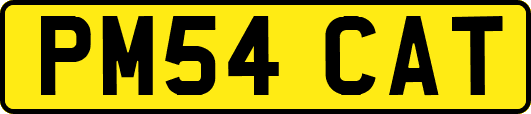 PM54CAT