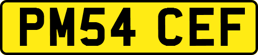 PM54CEF