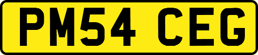 PM54CEG