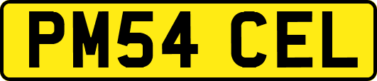 PM54CEL