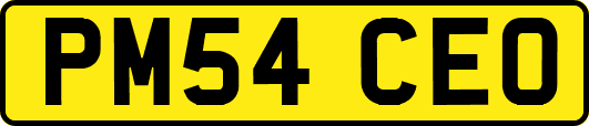 PM54CEO