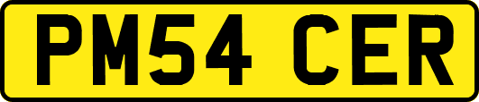 PM54CER