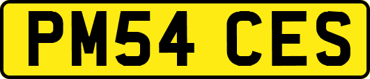 PM54CES