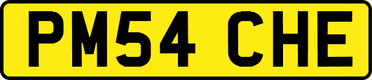 PM54CHE