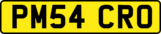PM54CRO