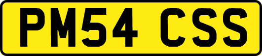 PM54CSS