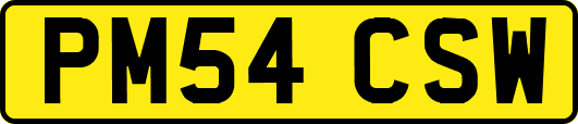 PM54CSW