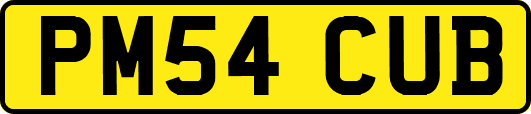 PM54CUB