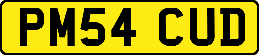 PM54CUD