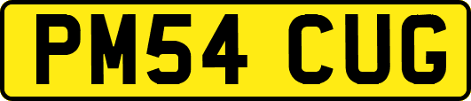 PM54CUG