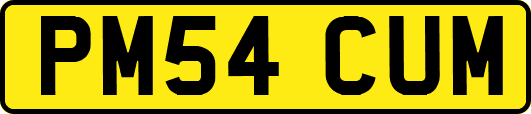 PM54CUM