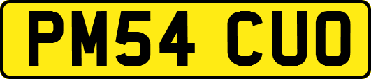 PM54CUO