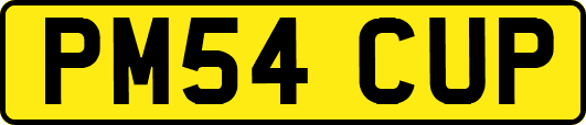 PM54CUP