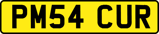 PM54CUR