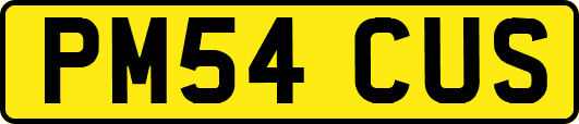 PM54CUS
