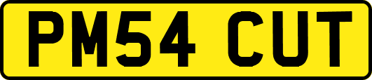 PM54CUT
