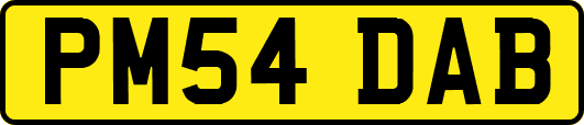 PM54DAB