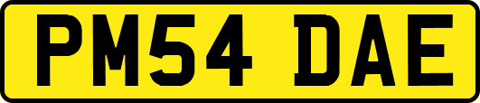 PM54DAE