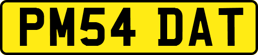 PM54DAT