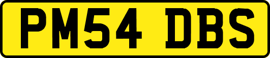PM54DBS