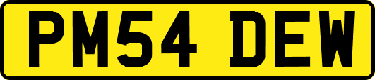 PM54DEW