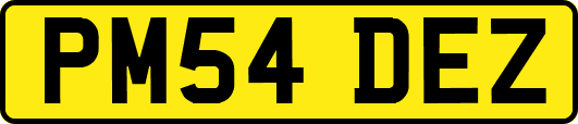 PM54DEZ