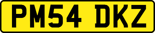 PM54DKZ