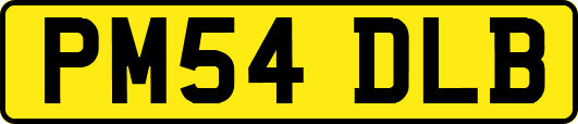 PM54DLB