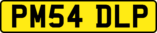 PM54DLP