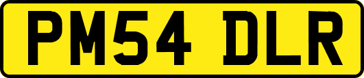 PM54DLR