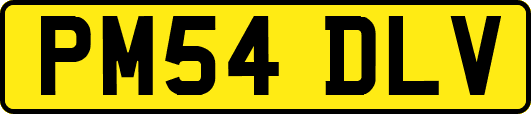 PM54DLV