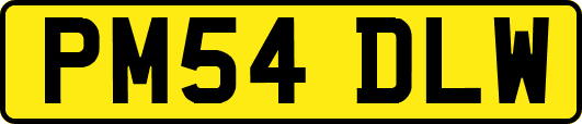 PM54DLW