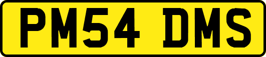 PM54DMS