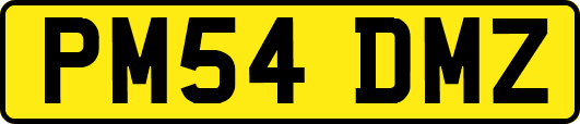 PM54DMZ