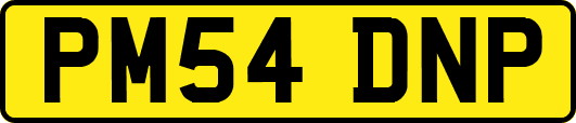 PM54DNP