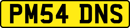 PM54DNS
