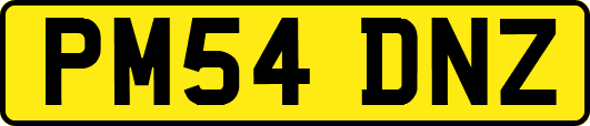 PM54DNZ