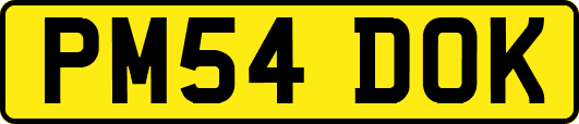 PM54DOK