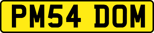 PM54DOM
