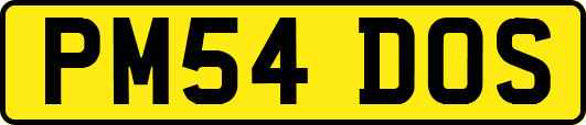 PM54DOS