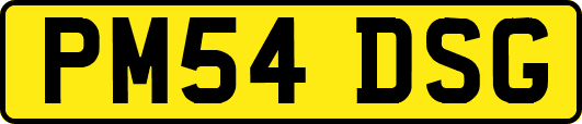 PM54DSG