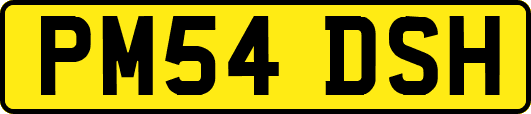 PM54DSH