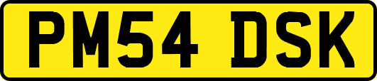 PM54DSK
