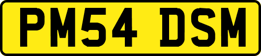 PM54DSM